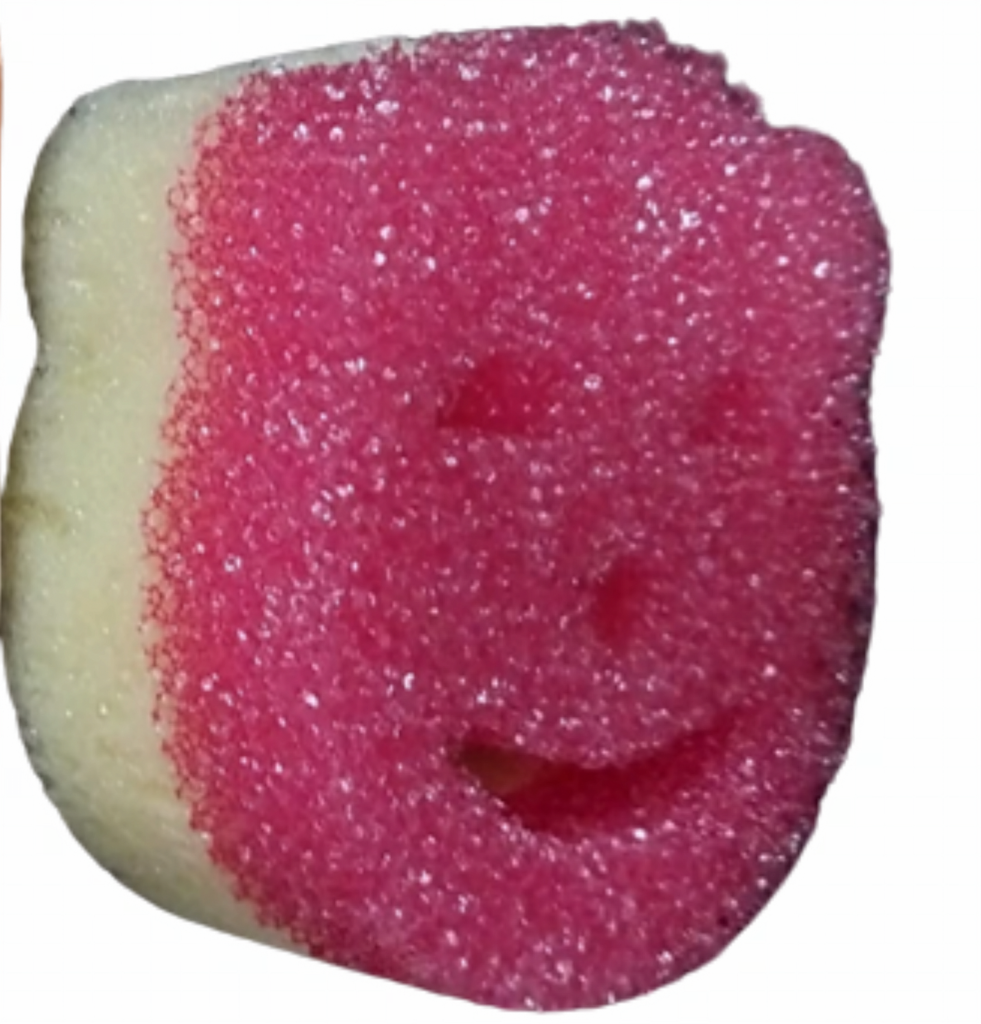 Yogy Dual Side Scrub Sponge