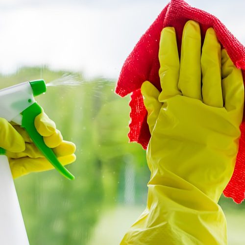 Washing windows. Woman sprays a detergent and wipes the glass. Home cleaning concept.